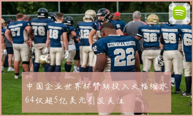 中国企业世界杯赞助投入大幅缩水64仅超5亿美元引发关注