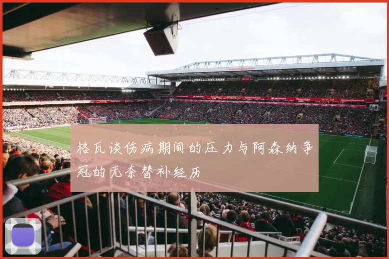格瓦谈伤病期间的压力与阿森纳争冠的无奈替补经历